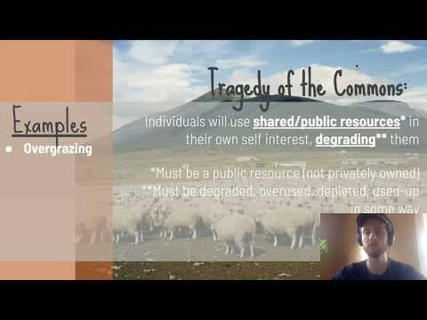 APES Video Notes for 5.1 - Tragedy of the Commons thumbnail