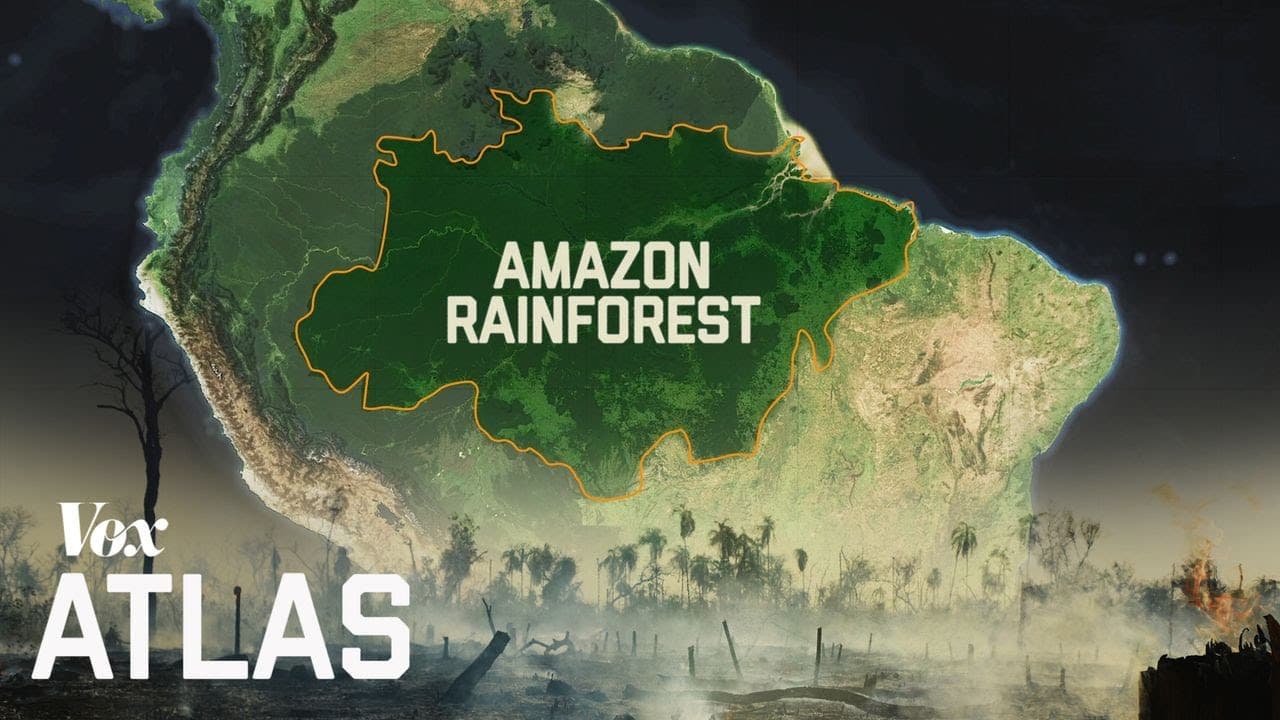 The destruction of the Amazon, explained | Glasp