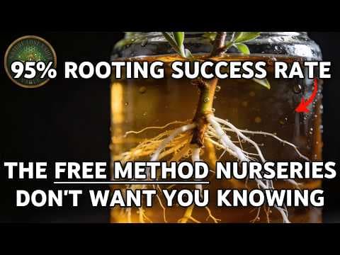 The Plant Propagation Secret That Replaces Chemical Rooting. Why Don't You Know About It? thumbnail