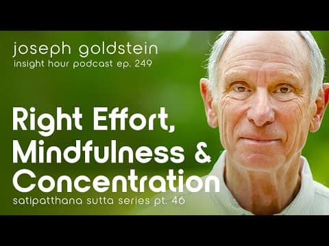 Satipatthana Sutta Finale with Joseph Goldstein – Insight Hour Ep. 249 – Satipatthana Sutta Pt. 46 thumbnail