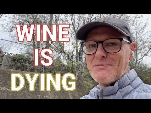 Why the Wine Industry Is Dying and the Impact on Business thumbnail