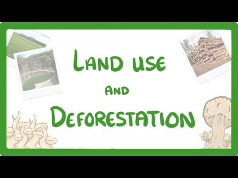 GCSE Biology - Land Use - Deforestation & Peat Bogs #92 thumbnail