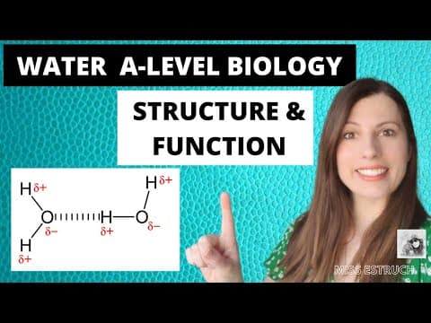 WATER - A-level Biology.  The importance of water - structure and function thumbnail