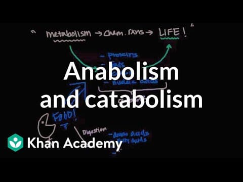 Overview of metabolism: Anabolism and catabolism | Biomolecules | MCAT | Khan Academy thumbnail