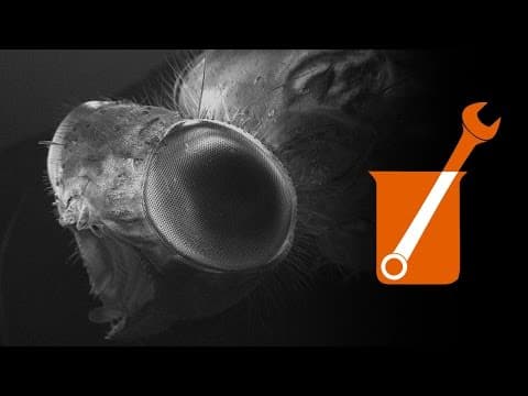 How to Capture Images from a Scanning Electron Microscope thumbnail