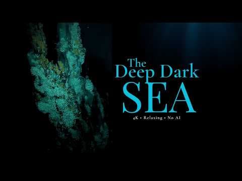 The Abyss | Deep Sea Documentary for Sleep (4K) thumbnail