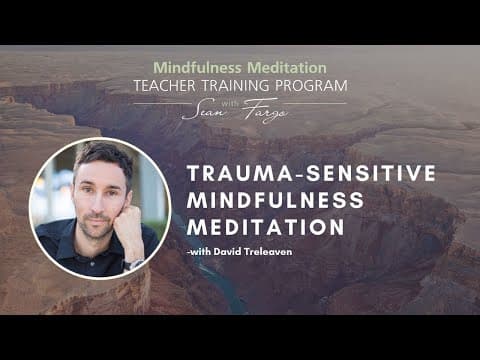 Trauma-Sensitive Mindfulness Meditation With David Treleaven thumbnail