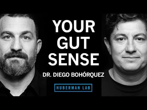 The Science of Your Gut Sense & the Gut-Brain Axis | Dr. Diego Bohórquez thumbnail