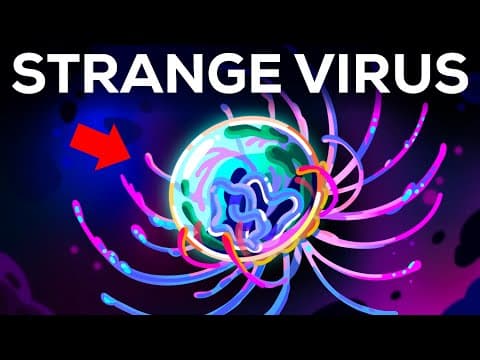 What Is the Human Virome and Why Does It Matter? thumbnail