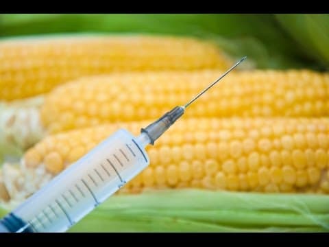 Genetic Fallacy: How Monsanto Silences Scientific Dissent thumbnail