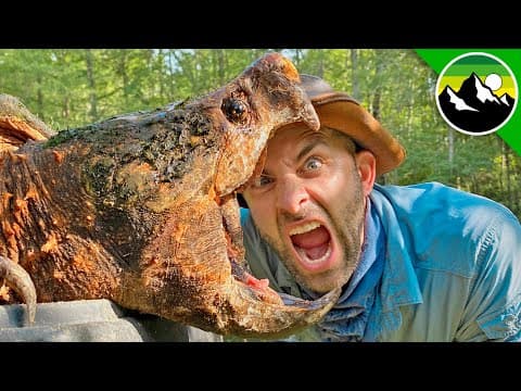 How to Catch the Largest Freshwater Turtle in Texas thumbnail