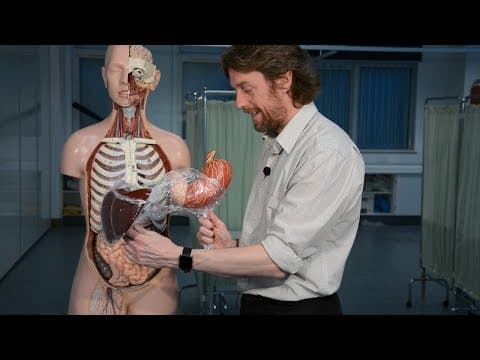 Liver (anatomy) - love your liver thumbnail