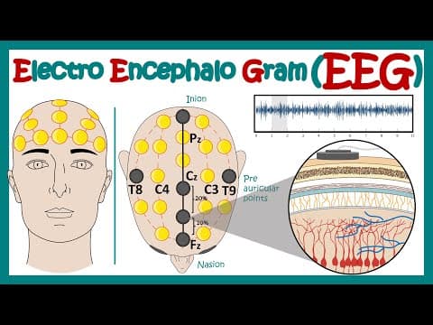 Electroencephalography (EEG) | How EEG test works? | What conditions can an EEG diagnose? | Animated thumbnail