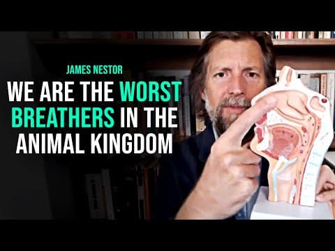 Correct Breathing is More IMPORTANT than Diet & Sleep ( Will TRANSFORM your Life) James Nestor thumbnail