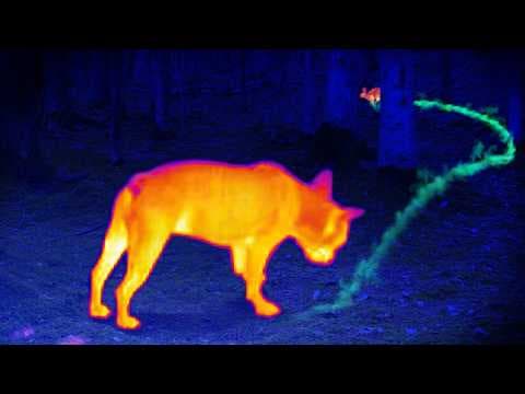 How Does Advanced Visualization Improve Air Flow Detection? thumbnail