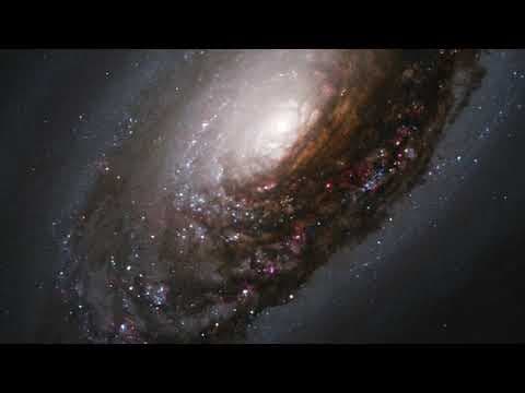 What Are the Most Likely Alien First Contact Scenarios? thumbnail