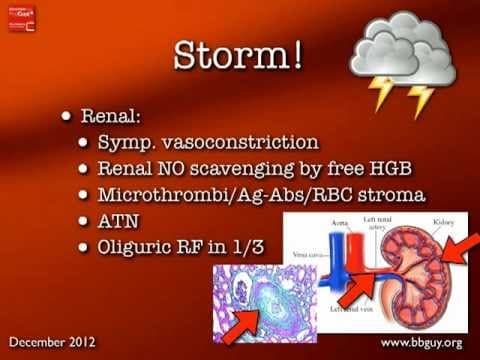 Transfusion Reactions Part 2 thumbnail