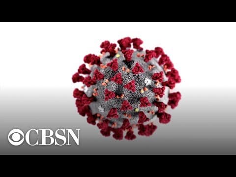 Watch live: World Health Organization gives coronavirus update thumbnail