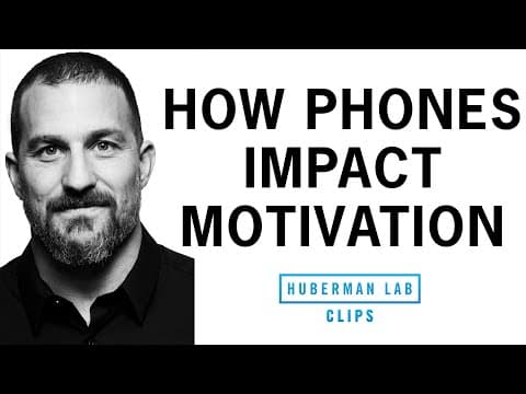 How Your Phone Affects the Brain & Motivation | Dr. Andrew Huberman thumbnail