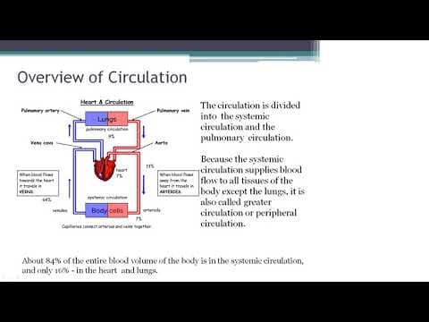 Lecture 4 Hemodynamics thumbnail