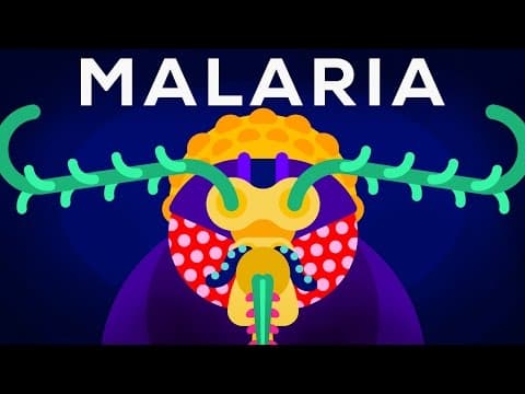 How Can Genetic Engineering Help Eliminate Malaria? thumbnail