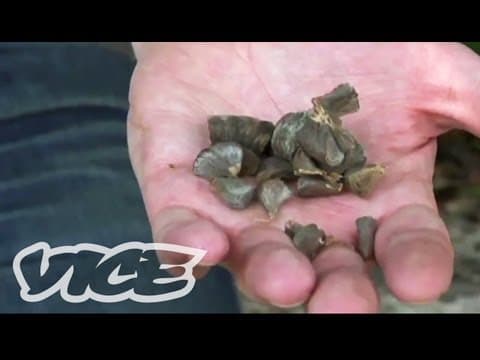 World's Scariest Drug (Documentary Exclusive) thumbnail