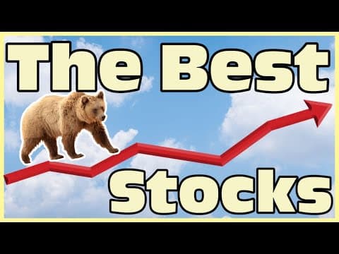 Best Stocks To Buy After A Bear Market thumbnail