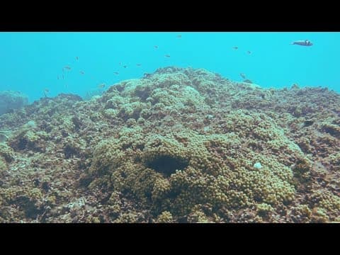 Microbes and the Environment thumbnail