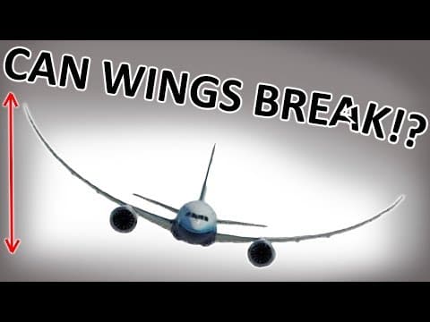 Why don't the wings break?! thumbnail