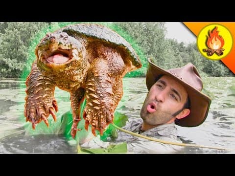 Why Are Snapping Turtles Considered Dangerous? thumbnail