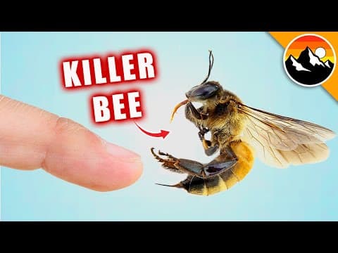 STUNG by a KILLER BEE! thumbnail