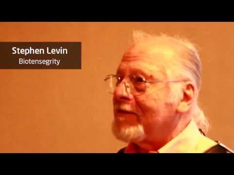 What is Biotensegrity? Dr. Stephen Levin @ Fascia Research Congress 2015 thumbnail