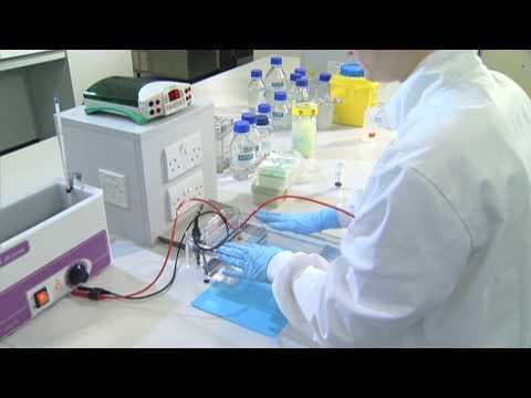 Running an Agarose Gel - University of Leicester thumbnail