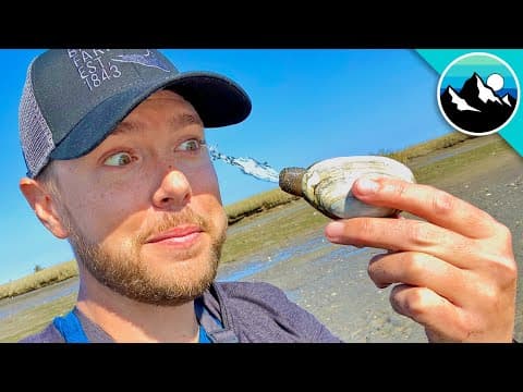How to Find and Identify Soft Shell Clams in Estuaries thumbnail