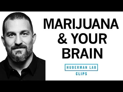 How Does Cannabis Affect the Brain and Body? thumbnail