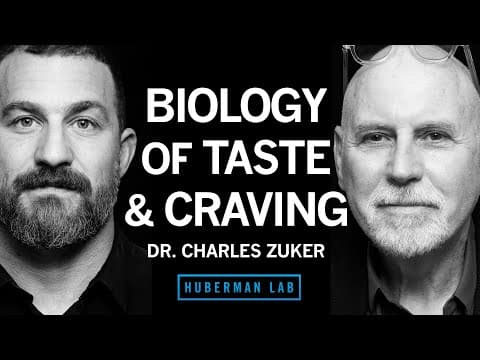 Dr. Charles Zuker: The Biology of Taste Perception & Sugar Craving | Huberman Lab Podcast #81 thumbnail