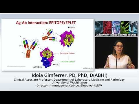 HLA and Transplantation thumbnail