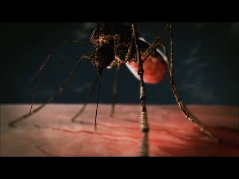 The deadliest animal in the world thumbnail