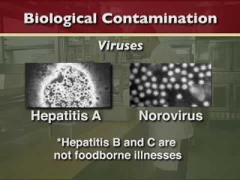 Basic Food Safety Course - Part 1 Introduction thumbnail