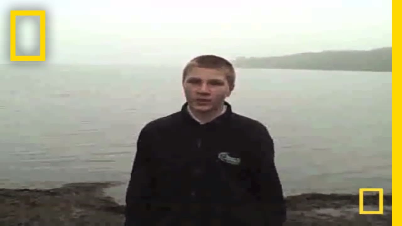 YouTube video player