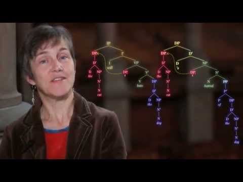 Generative Syntax 5.2 - The DP Hypothesis thumbnail