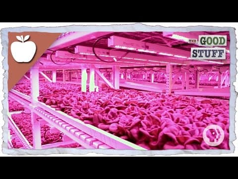 Are Vertical Farms The Future Of Agriculture? thumbnail