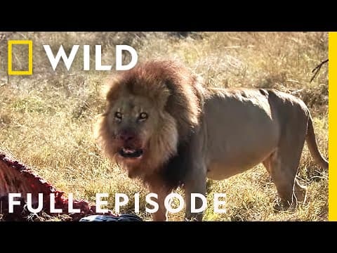Reign of Terror (Full Episode) | Savage Kingdom thumbnail