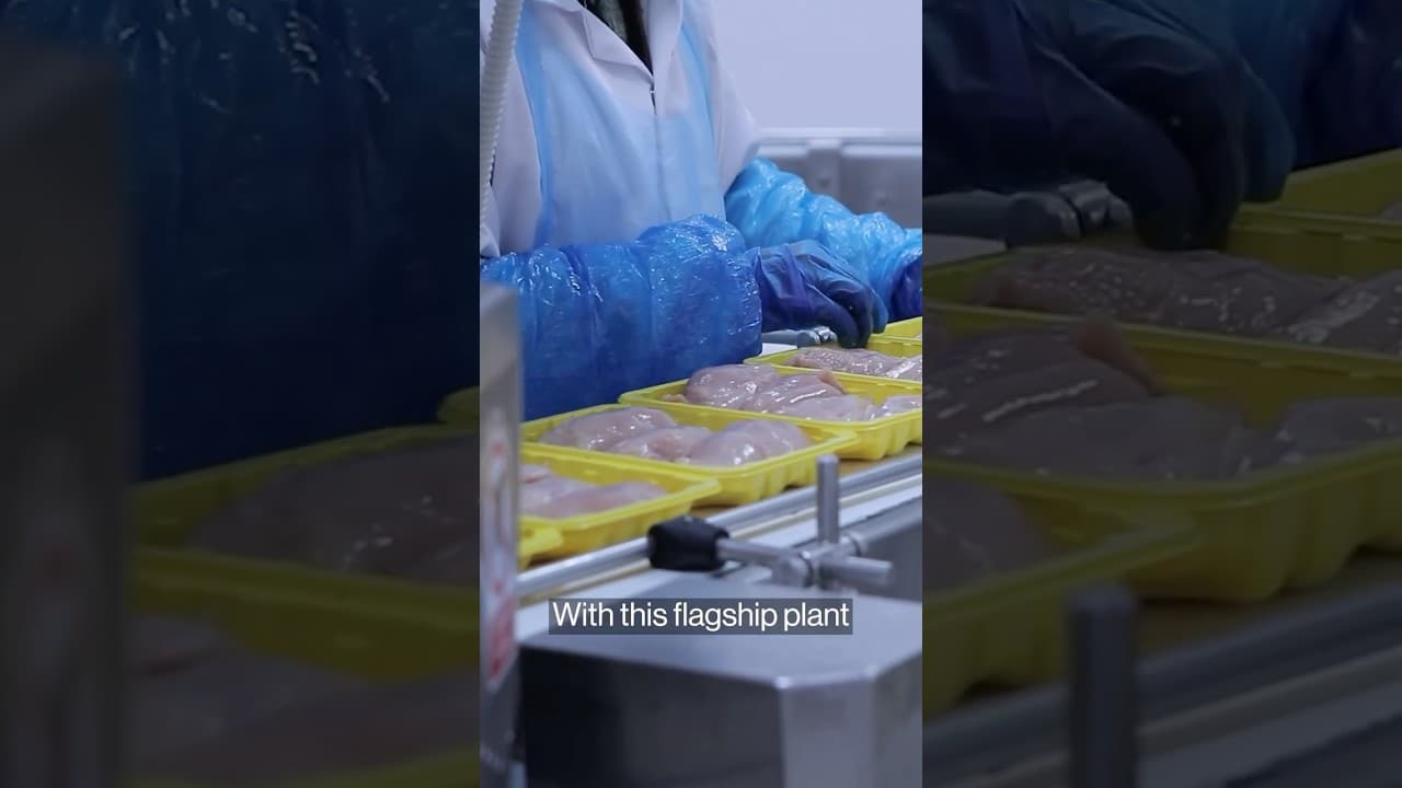 YouTube video player