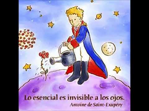 ¿Por qué los adultos no comprenden al Principito? thumbnail