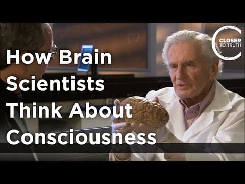 Arnold B. Scheibel - How Brain Scientists Think About Consciousness thumbnail