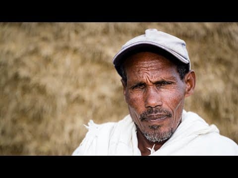 The Farmer (360 video) thumbnail