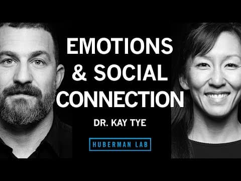 Dr. Kay Tye: The Biology of Social Interactions and Emotions thumbnail