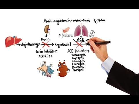 Pharmacology - HYPERTENSION & ANTIHYPERTENSIVES (MADE EASY) thumbnail