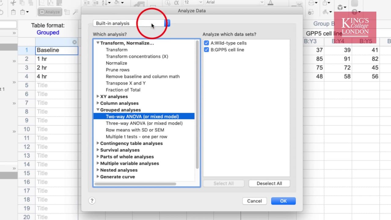 YouTube video player